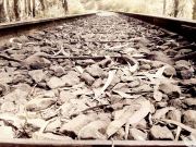 Best Walk On The Tracks